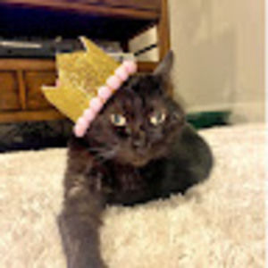 Meet your Posher, Victoria